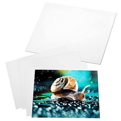 LOKUNN 20 Sheets Photo Paper Glossy, 8in x 10inInkjet Photo Printer Paper | Photo Paper for Printer Picture, Calendars, Brochures, Cards, Crafts & Party Favors (180 GSM/48LB)