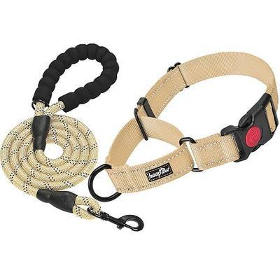 haapaw Martingale Dog Collar with Quick Release Buckle Reflective Dog Training Collars for Small Medium Large Dogs (Beige, S)