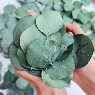 300+ Pcs Dried Real Eucalyptus Leaves,100% Natural Confetti | Wedding Decor, Rustic Boho Table Decor, Bridal Shower ,Baby Shower, Cake Table,Party Decorition