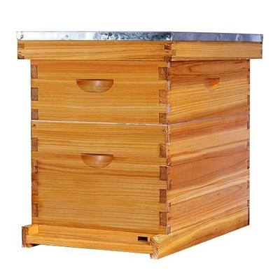 POLLIBEE 8 Frame Beehive Beeswax Coated Langstroth Bee Hives Include 1 Deep Boxes and 1 Medium Bee Box with Beehive Frames and Foundations(Unassembled)