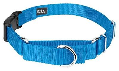 Martingale Dog Collar - Heavy Duty Nylon Adjustable Martingale Dog Collar with Plastic Buckle for Small Medium Large Breeds - 30+ Colors (1 Inch, Medium, Ice Blue)