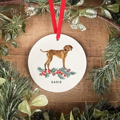 Custom Gray Striped Tabby Cat Personalized Pet Memorial Cat Christmas Ornament