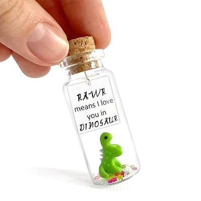 Kseniya Revta Girlfriend and Boyfriend Gifts - Anniversary Present for Him or Her - Custom Photo Gift Bottle for Husband or Wife - Ideal for Valentine Dates (Awesome Dino, Gift Bottle)