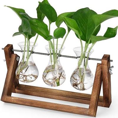 YIBOT Propagation Stations,Plant Terrarium with Wooden Stand-3 Glass Vases | Unique Gardening Birthday Gifts for Women Mom Plant Lovers, Indoor Hydroponics Plants Home Office Garden Desk Decor