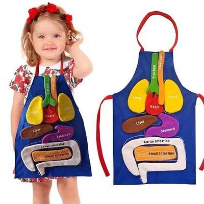 Boczif 3D Organ Apron Awareness Educational Toy, Human Body Model for Kids | Anatomy Costume Apron Plush Stuffed Viscera Model for Home Preschool Early Childhood Teaching Aid