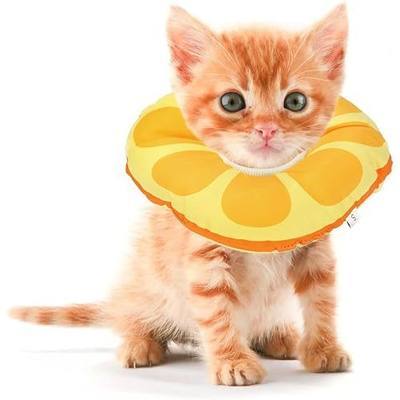 Kitten Cones After Surgery 0-6 Months, Donut Extra Small Kitten Cone Collar Soft to Stop Licking Neck, Elizabethan Kittens e Collar for Recovery, xs Small Cat Cone Spray, Pet Soft Cone for Cats
