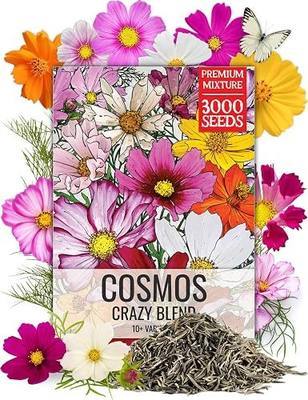 Seed Needs Flower Seeds Cosmos Original Crazy Blend 10+ Varieties Bulk Pack