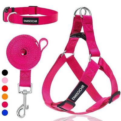 No Pull Dog Harness, Leash & Collar Set, Adjustable Step-in Vest | Dog Harness Set for Walking Training Hiking, Adjustable Fit for Small Medium Large Dogs