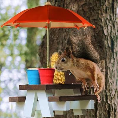 Large Squirrel Feeder, Squirrel Feeder for Outside, Large Squirrel Picnic Table Feeder with Umbrella and Corn Cobs for Squirrels, Cute Chipmunk Feeder for Your Family Member…