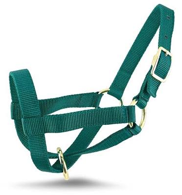 Jeffers Livestock Goat Halter, Medium 35"-38"- Adjustable 2 Ply Poly Webbing Halter w/Brass Plated Hardware for Leading, Training, Grooming, Showing, Farm Handling, Travel & Transport - Forest Green