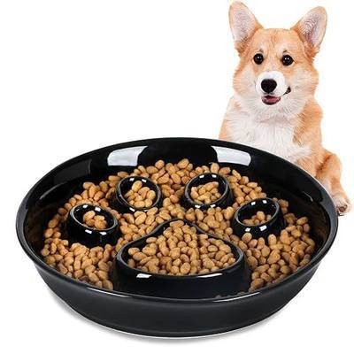 Fun Slow Feeder Cat Bowl, Ceramic Slow Eater Bowl for Small Dogs, 8-inch (Black)
