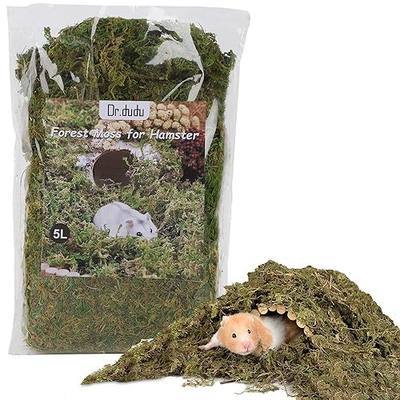 DR.DUDU 5L Forest Moss for Hamster Bedding Nesting, Syrian Gerbils Hamster Cages Accessories, Perfect for Small Animals Terrarium Moss