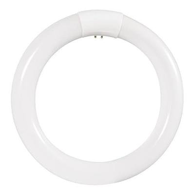 (2 Pack) Sylvania 23538 Daylight Deluxe Premium Circline Fluorescent T9 Circle 8 inch Diameter, 22 watts, 6500K, 900 lumens, 80 CRI Fluorescent Light Bulb