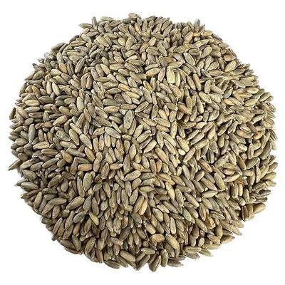 Organic Rye Berries 5 lbs - Non-GMO, Kosher, Raw Whole Grain, Bulk Seeds - Product of USA