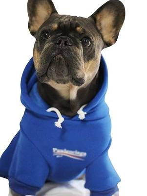 ChoChoCho Stylish Streetwear Blue Dog Sweatshirt Tracksuits, Cats Hoodies, Dog Outfit for Cat Puppy Small Medium (5XL)