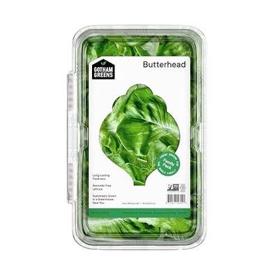 Gotham Greens Butterhead Salad, 9 OZ