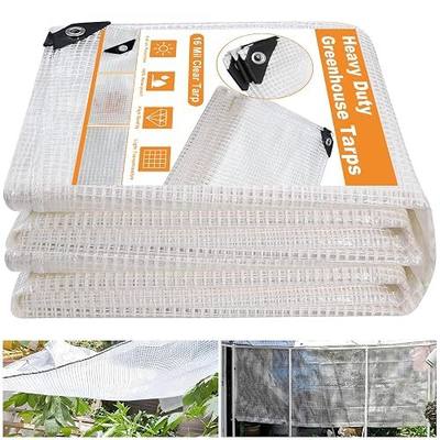 16 Mil Greenhouse Cover,Clear Plastic Tarps Heavy Duty Waterproof 16x20FT,UV Resistant Poly Clear Tarps with Grommets, Greenhouse Heavy Duty Tarp for Gardening,Farming,Nursery,Garden