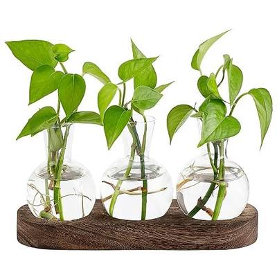 Mkono Desktop Plant Propagation Station Glass Planter Terrarium with Wooden Tray Bulb Flower Vase Perfect for Propagating Hydroponic Plants Home Office Decor Plant Lover Gift Idea