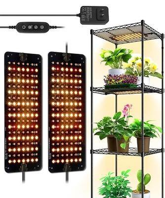 Barrina Grow Lights for Indoor Plants, 2 x 10W Ultra-Thin Grow Light Panel | Full Spectrum, with 3/6/12H Auto On/Off Timer for Hydroponics, Seedlings, Succulents, Vegetable, Flowers & More, 2 Packs