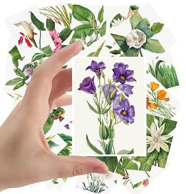 Large Stickers 24 pcs (2.5"x3.5" Each) Garden Flowers and Wildflowers Antique Botannical Book Illustration Vintage Postcards Retro Greeting Card Reprint