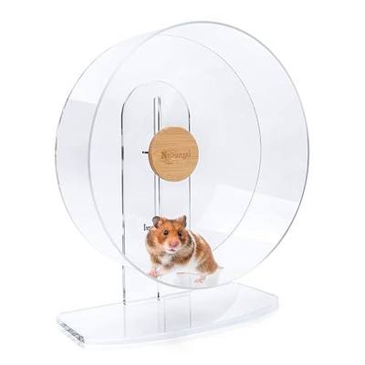 Niteangel Silent Hamster Exercise Wheel - Dual-Bearing Quiet Spinning Acrylic Hamster Running Wheel for Hamsters, Gerbils, Mice, Degus, or Other Small Animals (Large - Wider Version)