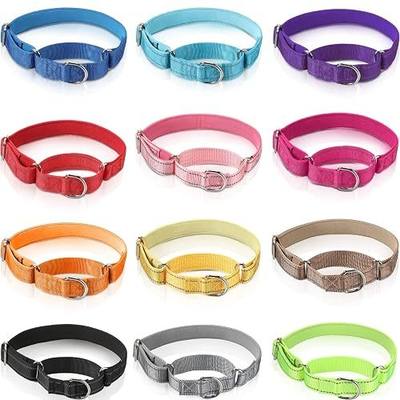 12 Pcs Martingale Collar for Medium Dogs Reflective Dog Collar with Durable Metal Buckle Adjustable Nylon Pet Prevent Slipping Out for Pupplies, 12 Colors(Medium)
