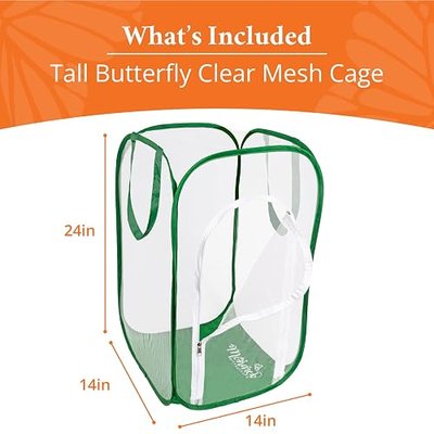 Tall Baby Clear Mesh Butterfly Cage with Drawbridge Open Door | 14”L x 14”W x 24”H | Raise Up to 10 Monarchs with Professional POP-Up Habitat by MONARCH BUTTERFLY LIFE