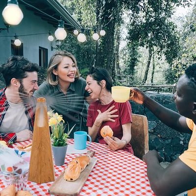 Yoiemivy Portable Fly Fans for Tables to Keep Your Food/Meal Clean for Outdoor, Indoor, Picnic, Dinner and Classroom, Wood Grain, 4 Pack