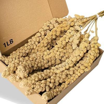 Jmxu's Spray Millet Treat for Birds Parakeets, Natural Sun-Dried Birds Millet for Cockatiel, Budgie, Finches, Parrots, Hamster