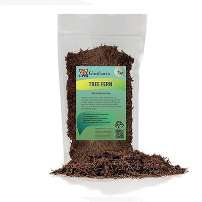 GARDENERA's Premium New Zealand Tree Fern - 1 Quart - Growing Medium for Orchids and Epiphytes | Provides Optimal Drainage and Aeration