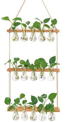 XXXFLOWER Wall Hanging Propagation Station 5 Bulb Vase 3 Tiers | Hanging Plant Holder Wall Hanging Planters for Indoor Plants, Wall Decor for Living Room Office