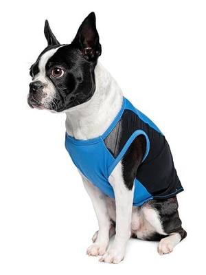 Insect Shield Pet Breathable Sleeveless Mesh Airflow Tank Top with Built in Bug and Tick Protection, Lake, Small