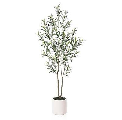 LOMANTO Artificial Olive Trees, 5 ft Tall Fake Olive Trees for Indoor | Faux Olive Silk Tree with White Planter,Large Olive Plants for Home Decor and Housewarming Gift, 1 Pack