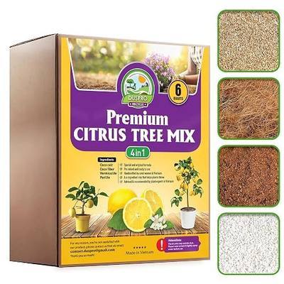 DUSPRO Pre-Mixed 4in1 Ready to Use Citrus Tree Potting Soil Mix, 6QRT | Indoor Fruit Tree Mix for Potted Lemon Tree, Oranges & Other Citrus Trees, Drainage, Root Aeration & Balanced Moisture