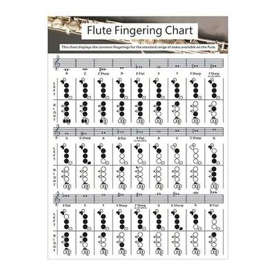 Flute Fingering Chart,Portable Color-Coded Flute Chord Poster for Beginners,Durable Practice Reference Guide for Student Flute Players,Woodwind Instrument Accessory
