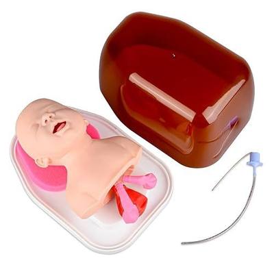 Ultrassist Infant Airway Management Trainer for Oral and Nasal Intubation | Realistic Infant Airway Anatomy for Oral and Nasal Intubation with Visible Lung and Stomach Inflation