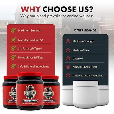 Daybreak Nutrition 8 in 1 Equine Joint Supplement, 964g (30 Servings) | Maximum Strength, Glucosamine, MSM, Chondroitin, Turmeric, Hyaluronic Acid, Manganese, & Boswelia