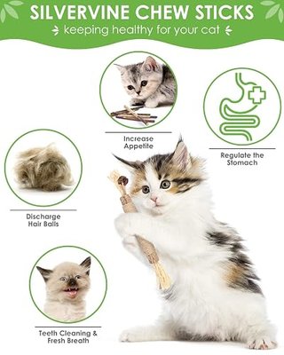 TINDTOP Silvervine Chew Sticks for Cats, 12 Pack Natural Catnip Chew Toys | for Kittens Teeth Cleaning, Matatabi Dental Care, Increase Appetite, Calm Cat Anxiety and Stress, Cat Dental Toy