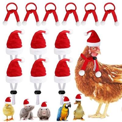 KIMOBER 12Pcs Red Christmas Pet Chicken Hat Scarf Set, Small Animal Scarf and Mini Santa Hat with Adjustable Chin Strap for Duck Hen Hamster Rabbit Kitty Parrot Puppy Lizard