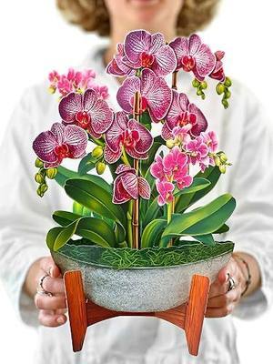 Freshcut Paper Pop Up Cards, Orchid Oasis, 12 Inch Life Sized Forever Flower Bouquet 3D Popup Greeting Card, Anniversary Card, Mother's Day, Blank Notecard & Envelope
