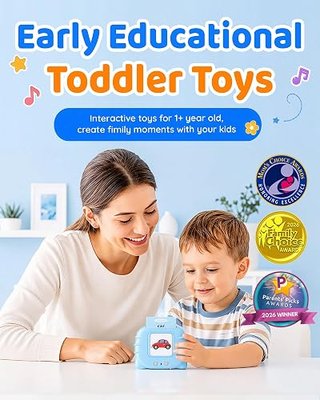 Aullsaty Talking Flash Cards for Toddlers 1-3, Upgraded 248 Sight Words Montessori Speech Therapy Toy, Autism Sensory Educational Learning Toys, Birthday Gift for Boys Girls (Blue)