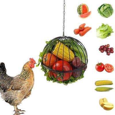 Hanging Chicken Feeder 7.1 Inch Chicken Veggie Treat Ball 1PCS Black | Large IronSturdy Chicken Treat Holder with 15.7 Inch Hanging Chain