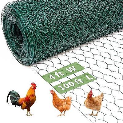 Chicken Wire Fencing Mesh, Galvanized Hexagonal Floral Chicken Wire, Outdoor Anti-Rust Poultry Netting for Garden Fence (4 ft x 100 ft, PVC Coated)