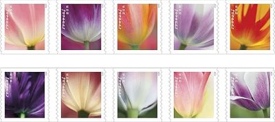 2023 Tulip Blossom Forever First Class Postage Stamp (10 Count Strip) Y