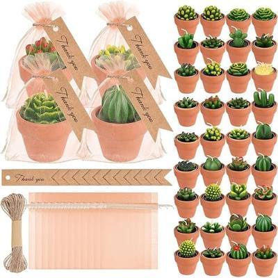 MTLEE 36 Pcs Succulent Tealight Candles - Wedding Party Baby Shower Valentines Gifts Birthday Pack with Terracotta Pot, Organza Bag, Tags, Twines