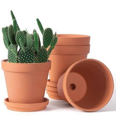 Orceler 6 inch Terracotta & Clay Pots for Plants with Saucer, Medium Terra Cotta Plant Pots with Drainage Hole, Flowerpot with Tray, Terracotta Pot for Indoor Outdoor Plant - Pack of 4 Planters
