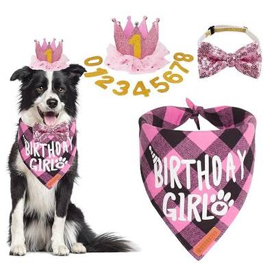 ADOGGYGO Dog Birthday Hat Bandana Set, Pink Plaid Girl Dog Bandana, Large | 3 Sizes, Double Layer Birthday Girl Bandana, Crown with Numbers, Bow Tie for Medium & Large Dog Birthday Party