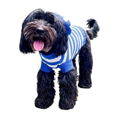 Blue Stripe Hoodie Dog Sweater Size #12