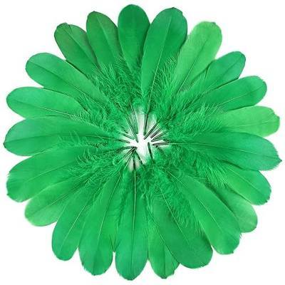 FeelfunFeather 120pcs Grass Green Goose Feathers 6-8 Inch 15-20cm Decorative Natural Goose Nagoire Feather Bulk for DIY Crafts Cosplay Wedding Party Christmas Halloween Home Decoration