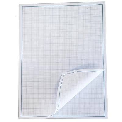 Reskid Blueprint and Graph Paper Pad - 50 Sheets Per Pad - 70lb Text - For Drawing, Designing, and More - Perfect Tool for Young Artists, Budding Designers, and Classroom Use (1, 9x12)